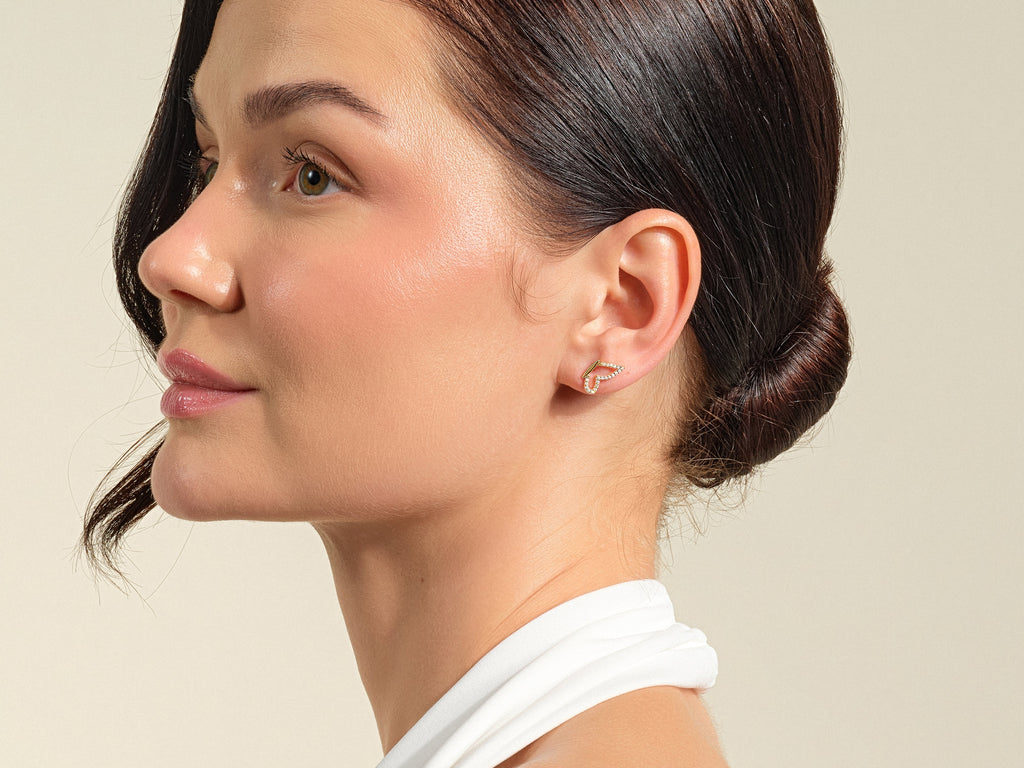 Wing Earrings
