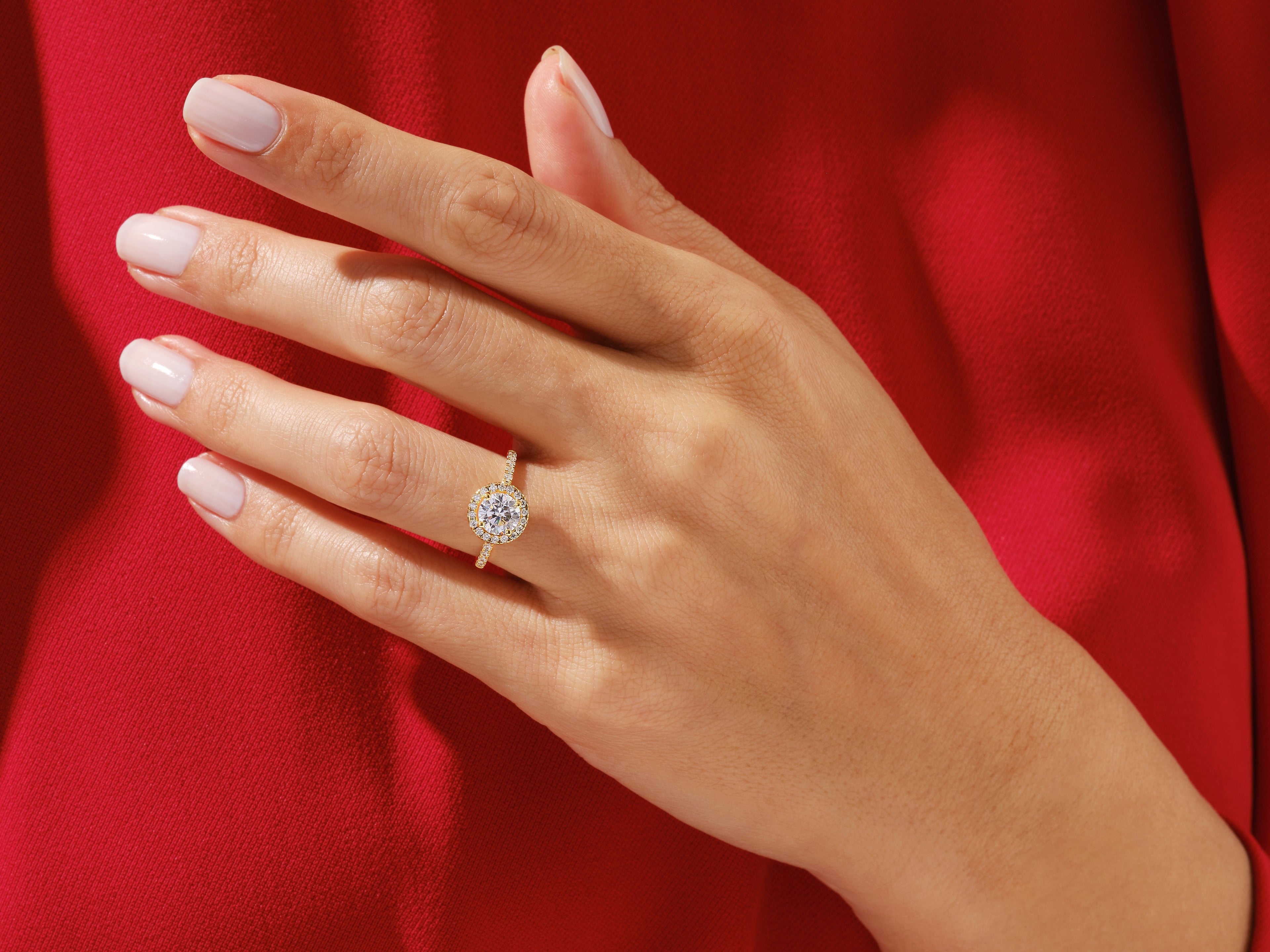 Round Cut Moissanite Round Halo Engagement Ring (1.00 CT)