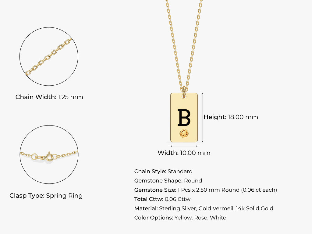 Initial Tag Birthstone Necklace