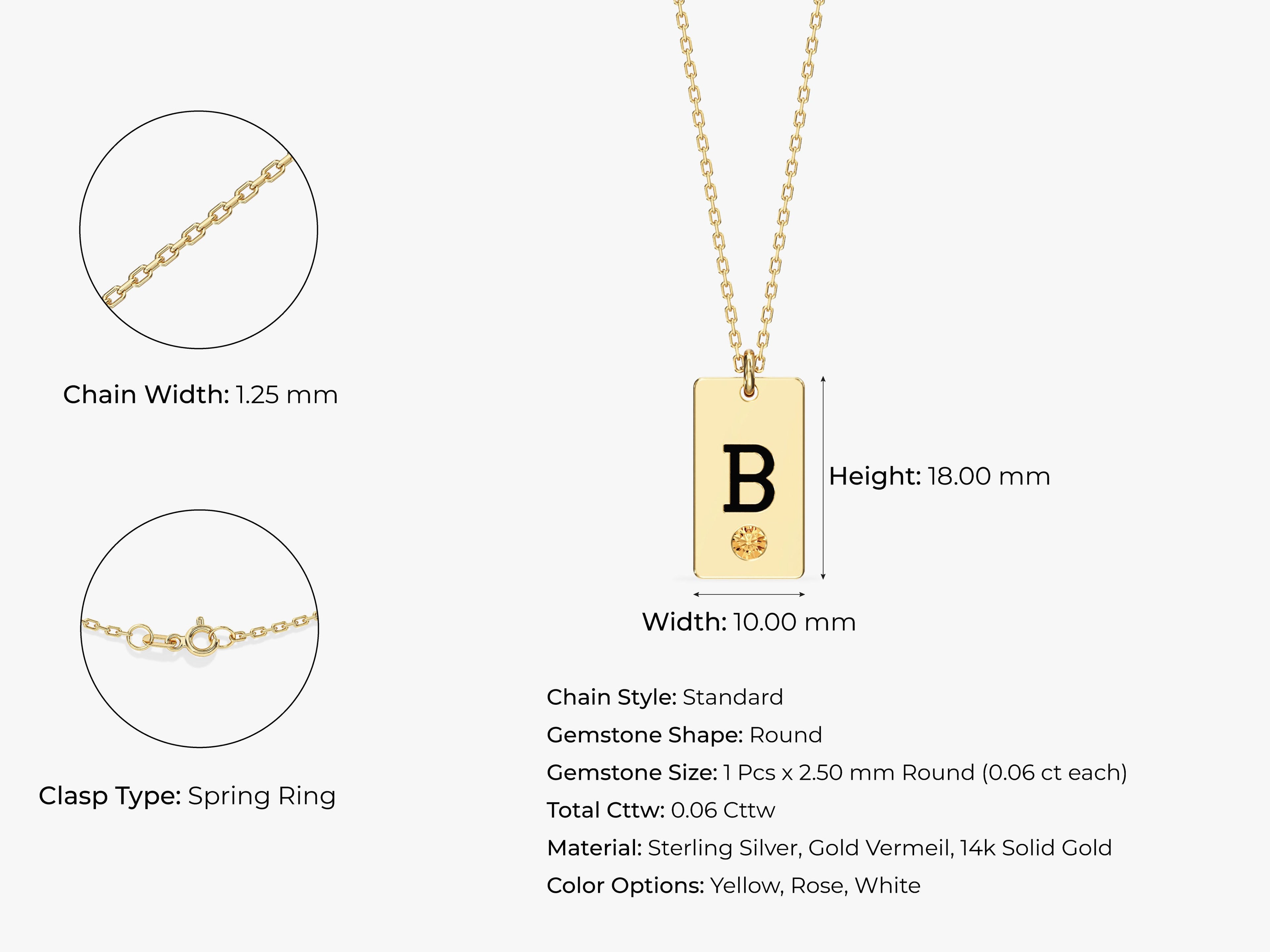 Initial Tag Birthstone Necklace