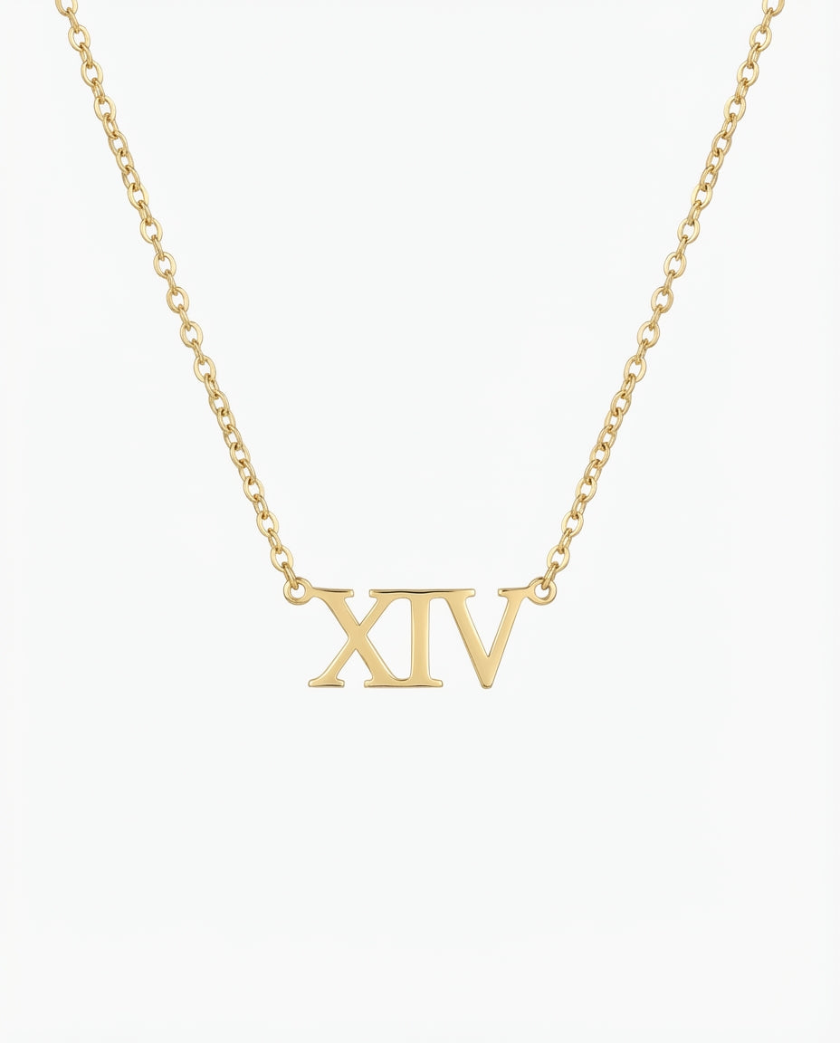 Gold Roman Numeral XIV Necklace | Dainty Number Pendant