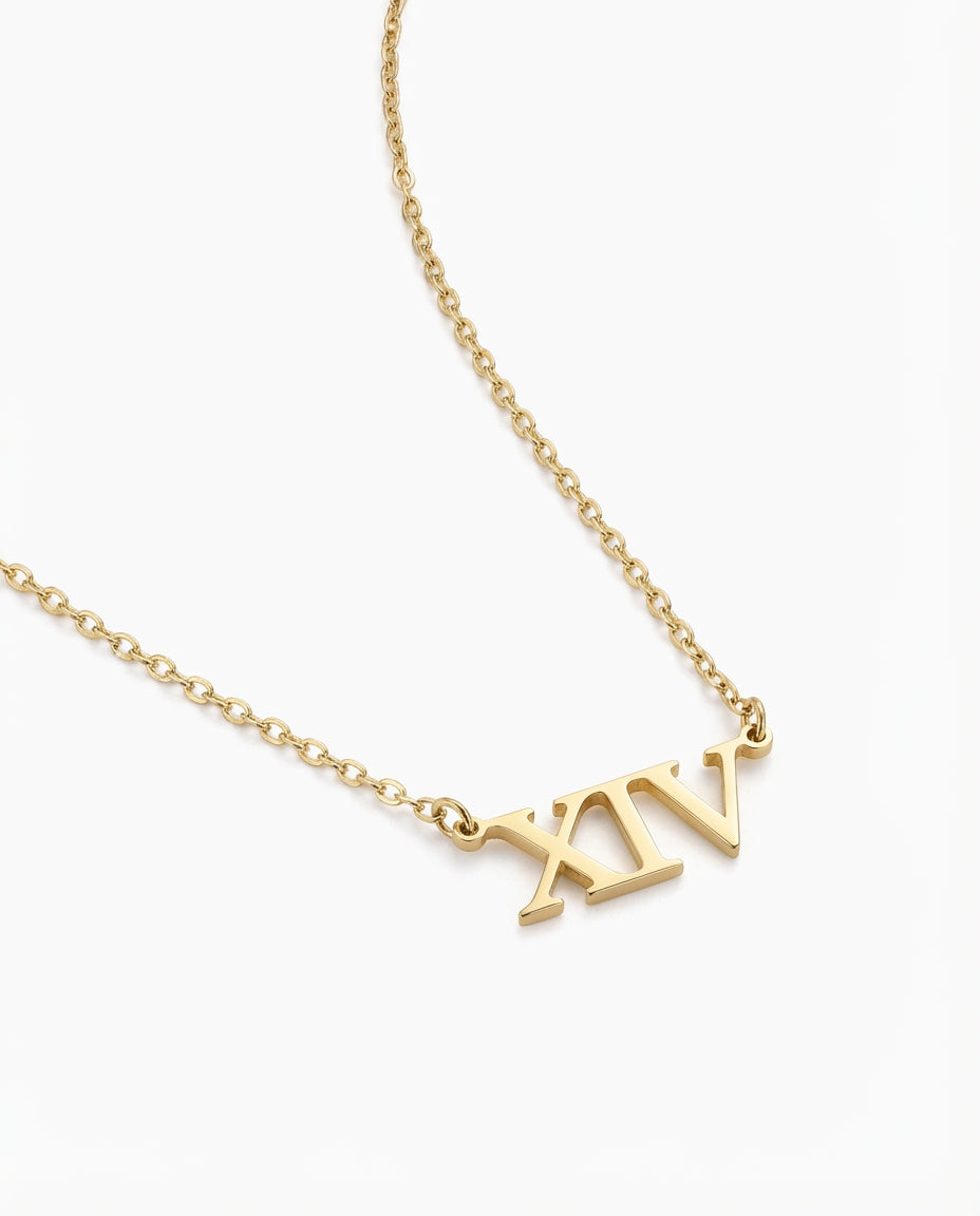 Gold Roman Numeral XIV Necklace | Dainty Number Pendant